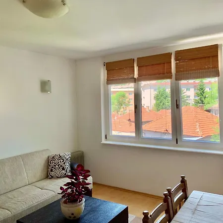 Apartment 1bdr In Center - Free Parking Sarajevo