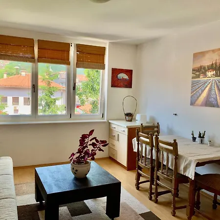 1bdr In Center - Free Parking