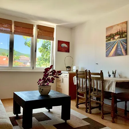 1bdr In Center - Free Parking * Saraybosna