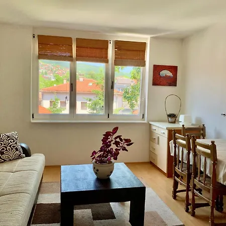 1bdr In Center - Free Parking Sarajevo