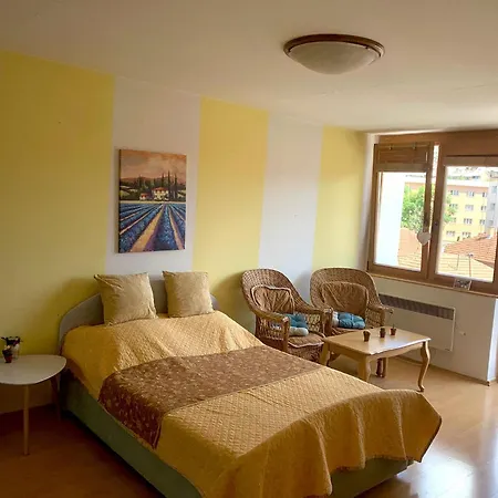 1bdr In Center - Free Parking