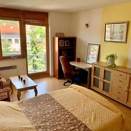 1bdr In Center - Free Parking