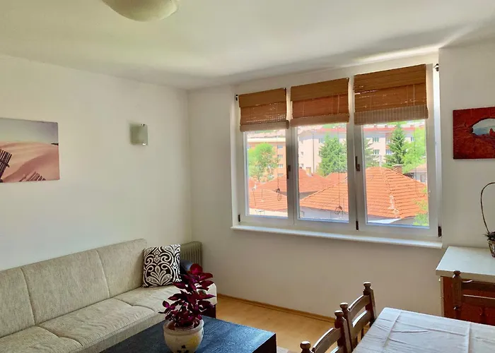 Apartment 1bdr In Center - Free Parking Sarajevo