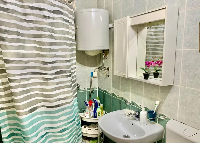 Apartment 1bdr In Center - Free Parking