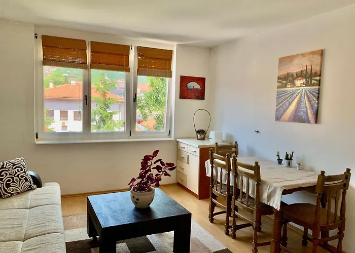 1bdr In Center - Free Parking