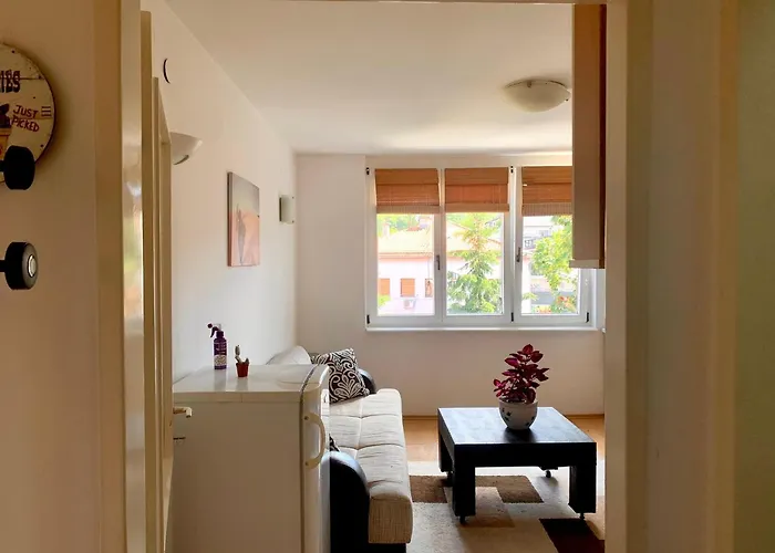 Apartment 1bdr In Center - Free Parking *