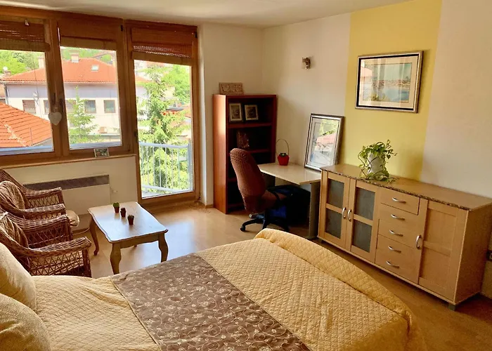 1bdr In Center - Free Parking